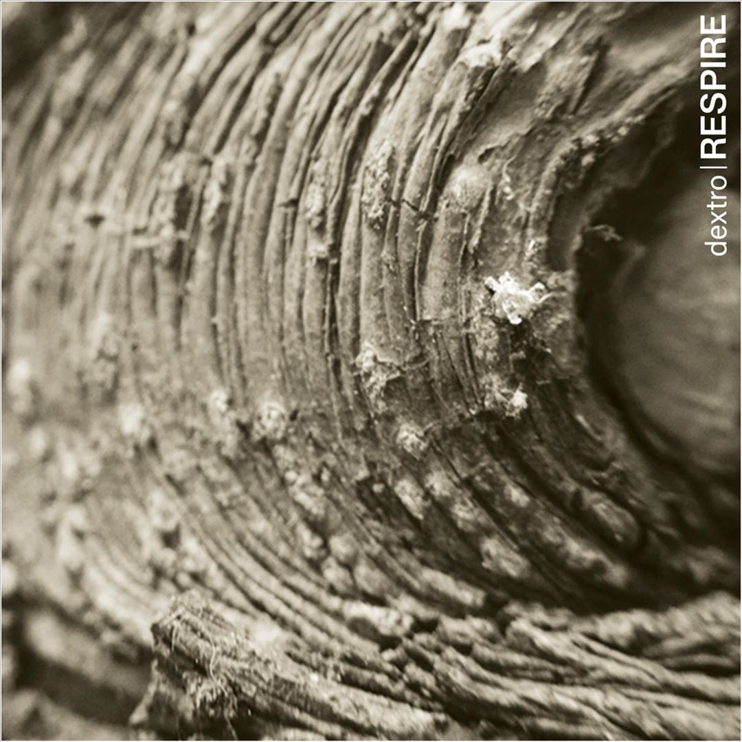 Respire (Olive Green Vinyl) cover art