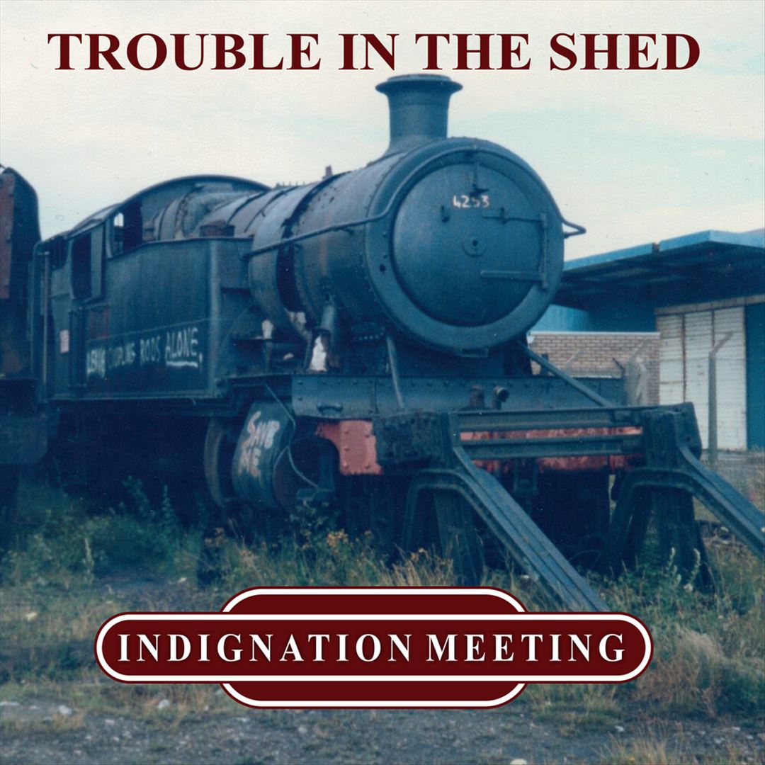 Trouble in the Shed cover art