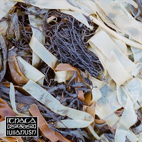 ITHACA cover art