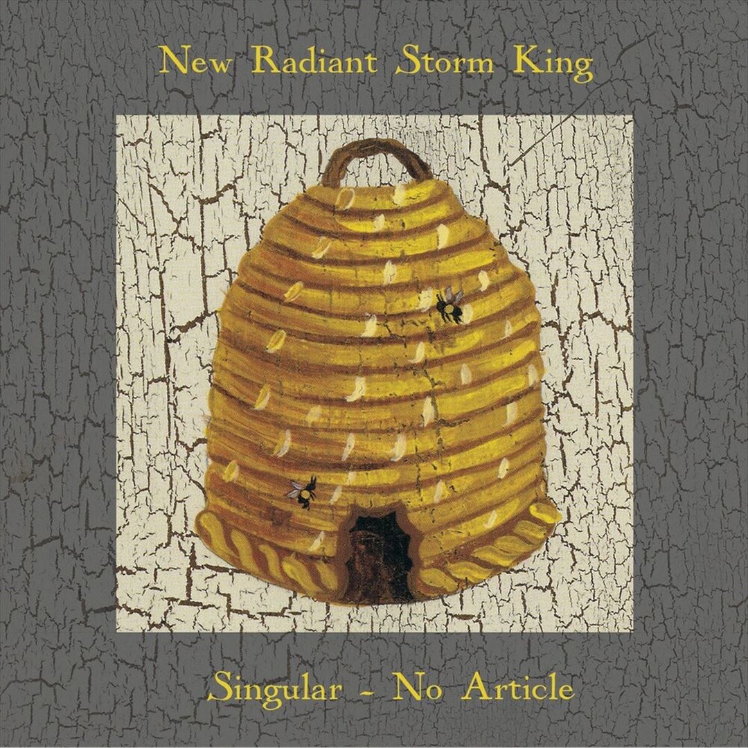 Singular, No Article cover art