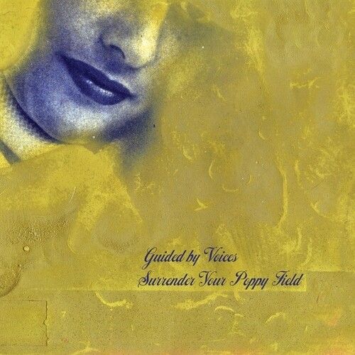 Surrender Your Poppy Field cover art