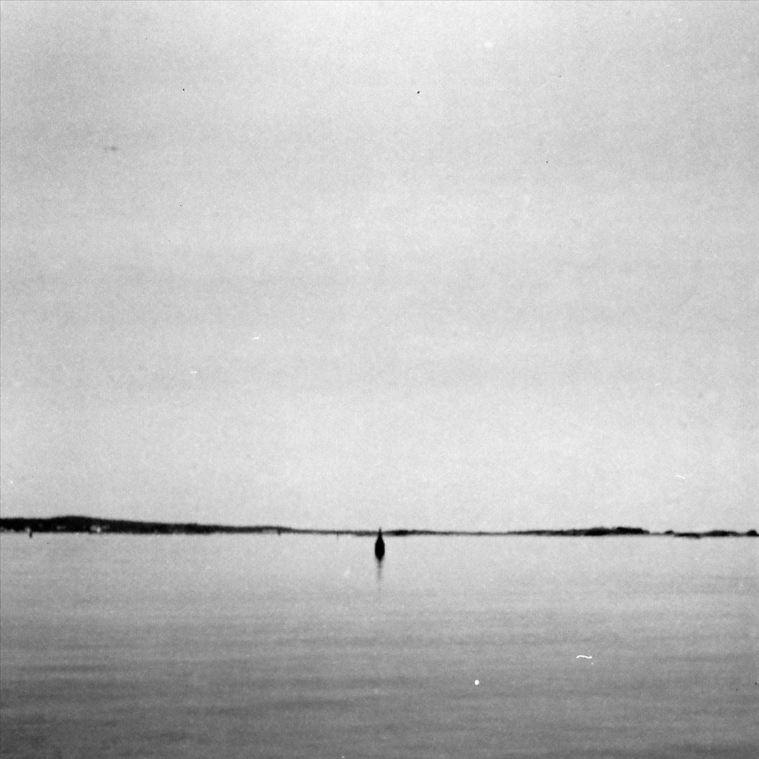 Rose Bay cover art
