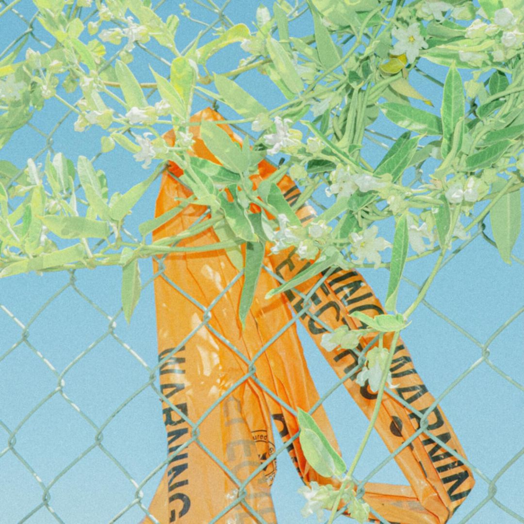 I Know What I Saw cover art