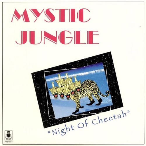 Night of Cheetah cover art