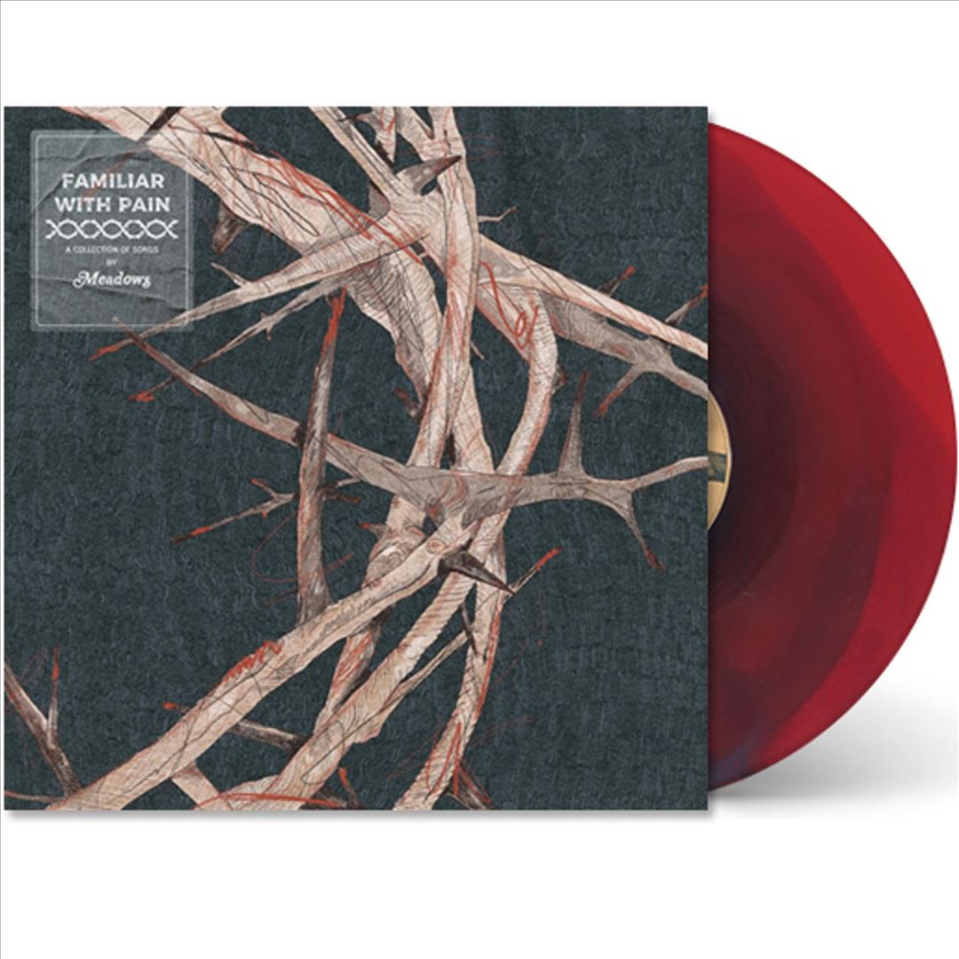 Familiar With Pain cover art