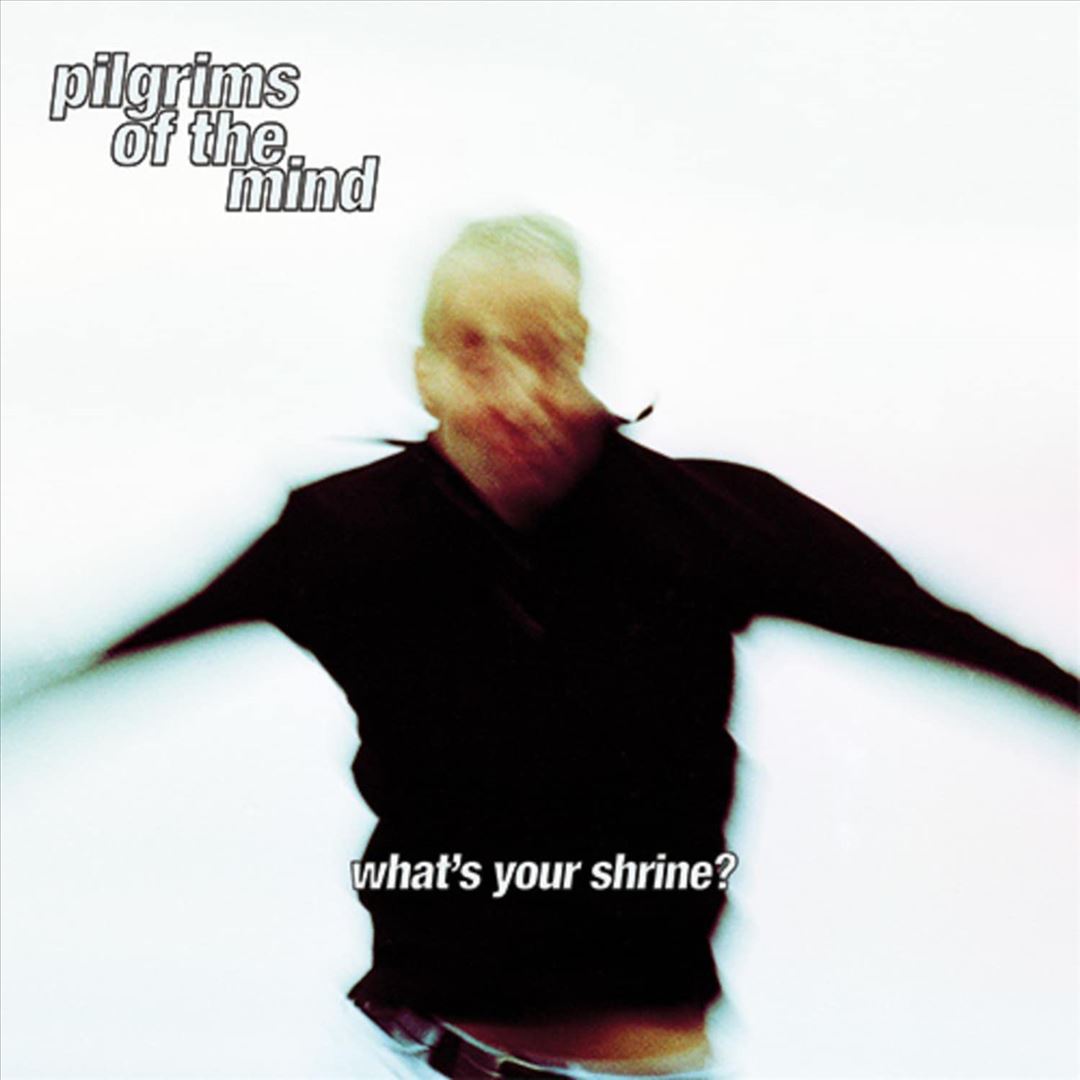 What's Your Shrine cover art