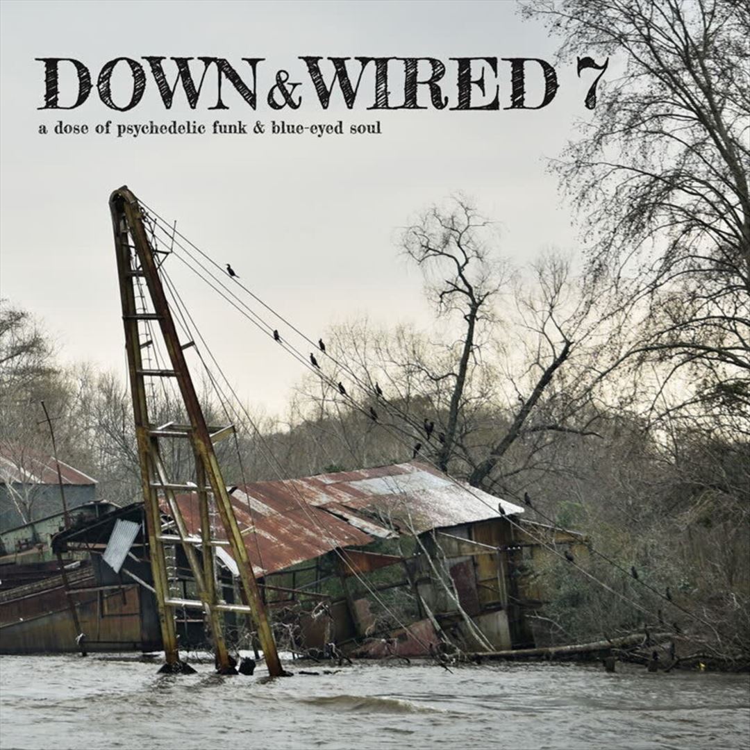 Down & Wired 7 cover art