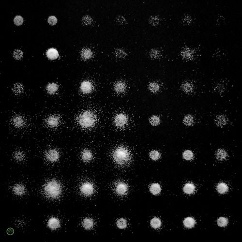 Beat of Silence cover art