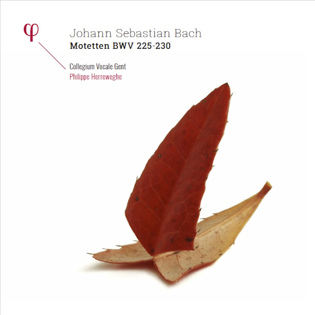 Johann Sebastian Bach: Motetten BWV 225-230 cover art