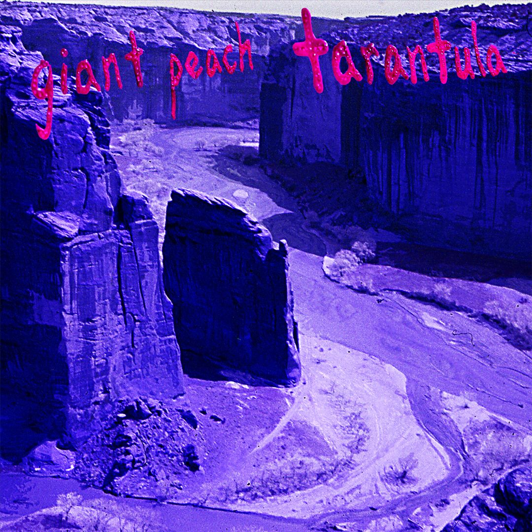 Tarantula cover art