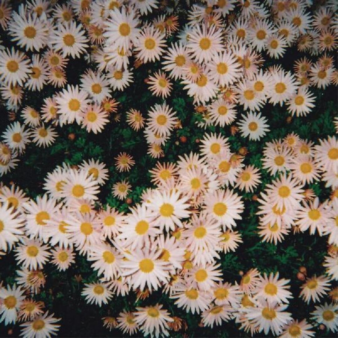 Bad Bad Hats cover art