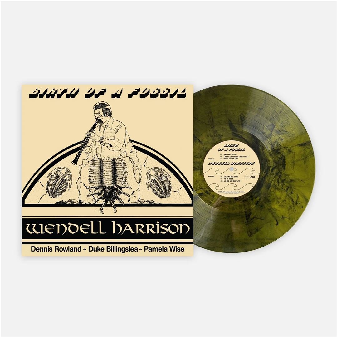 Birth of a Fossil cover art