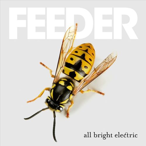 All Bright Electric cover art