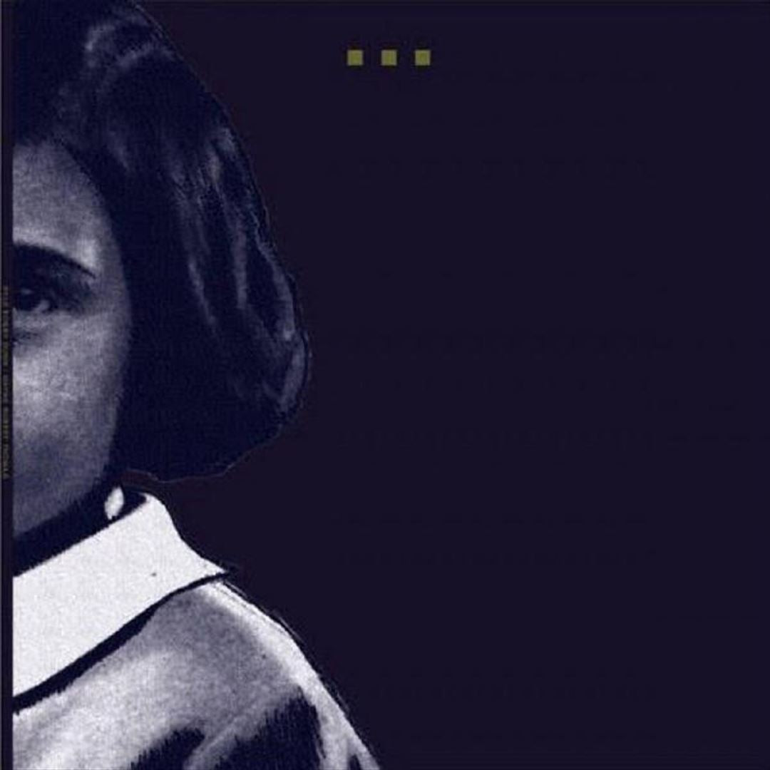 Searchers/Voyevoda cover art