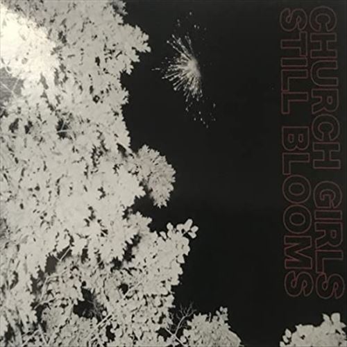 Still Blooms cover art