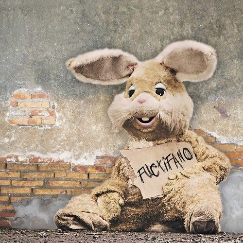 Fuctifano cover art