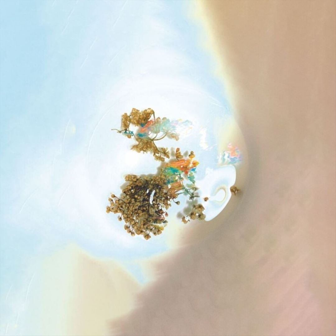 Things We See When We Look Closer cover art