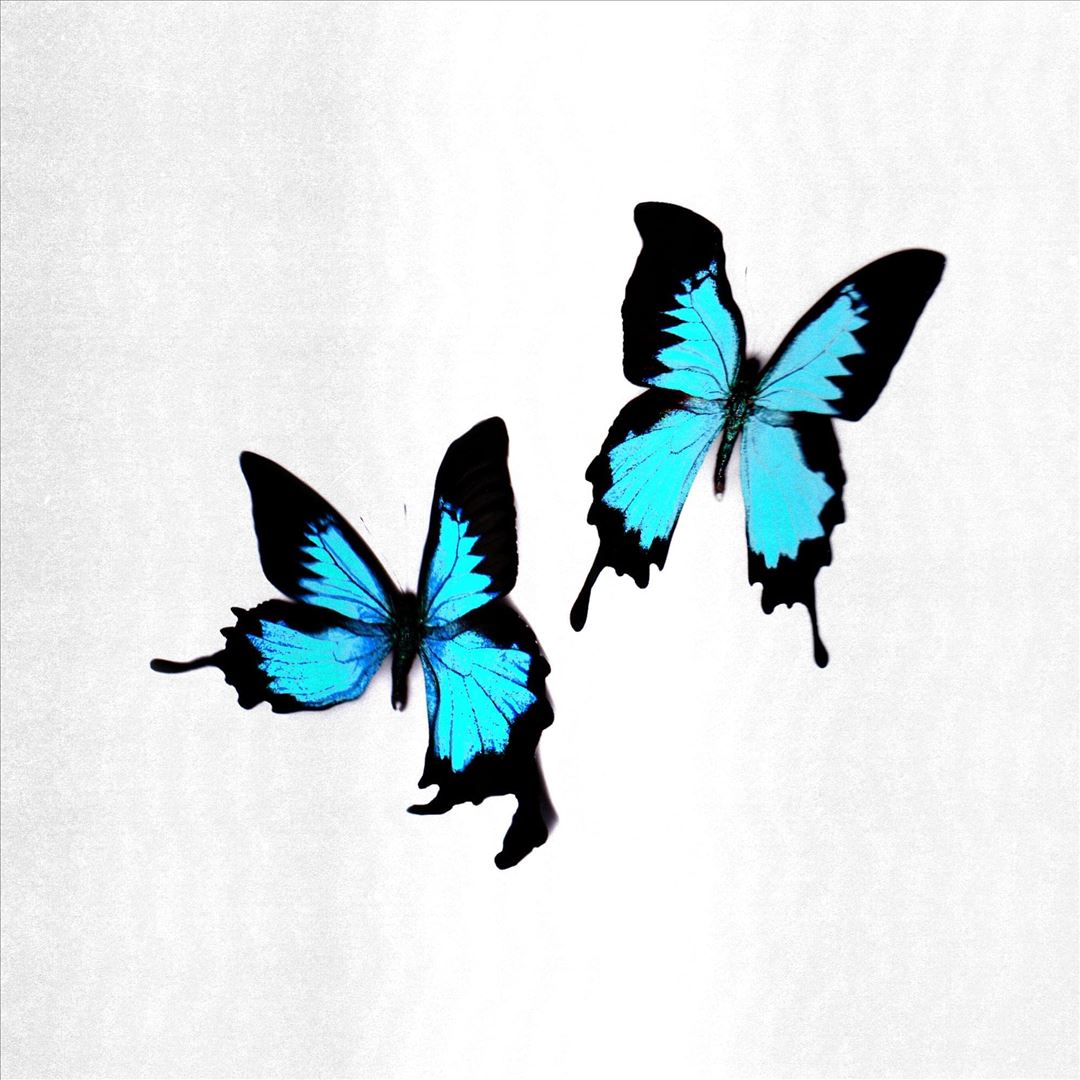 Tear cover art