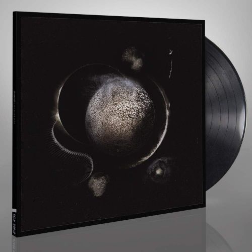 Cold Black Suns cover art
