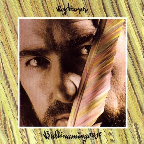 Bullinamingvase cover art