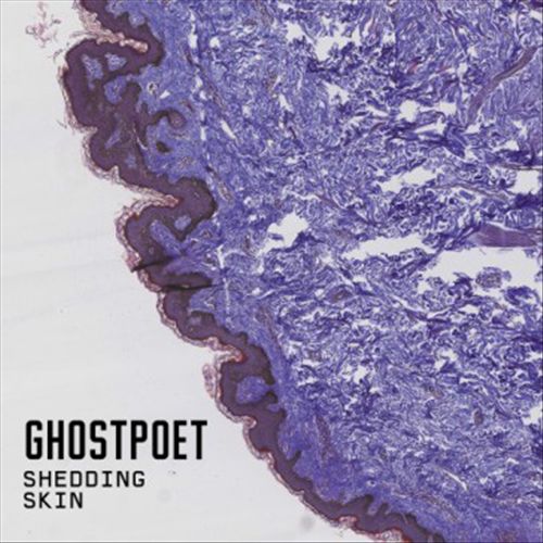 Shedding Skin cover art