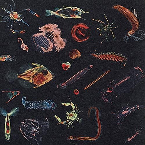 Plancton cover art