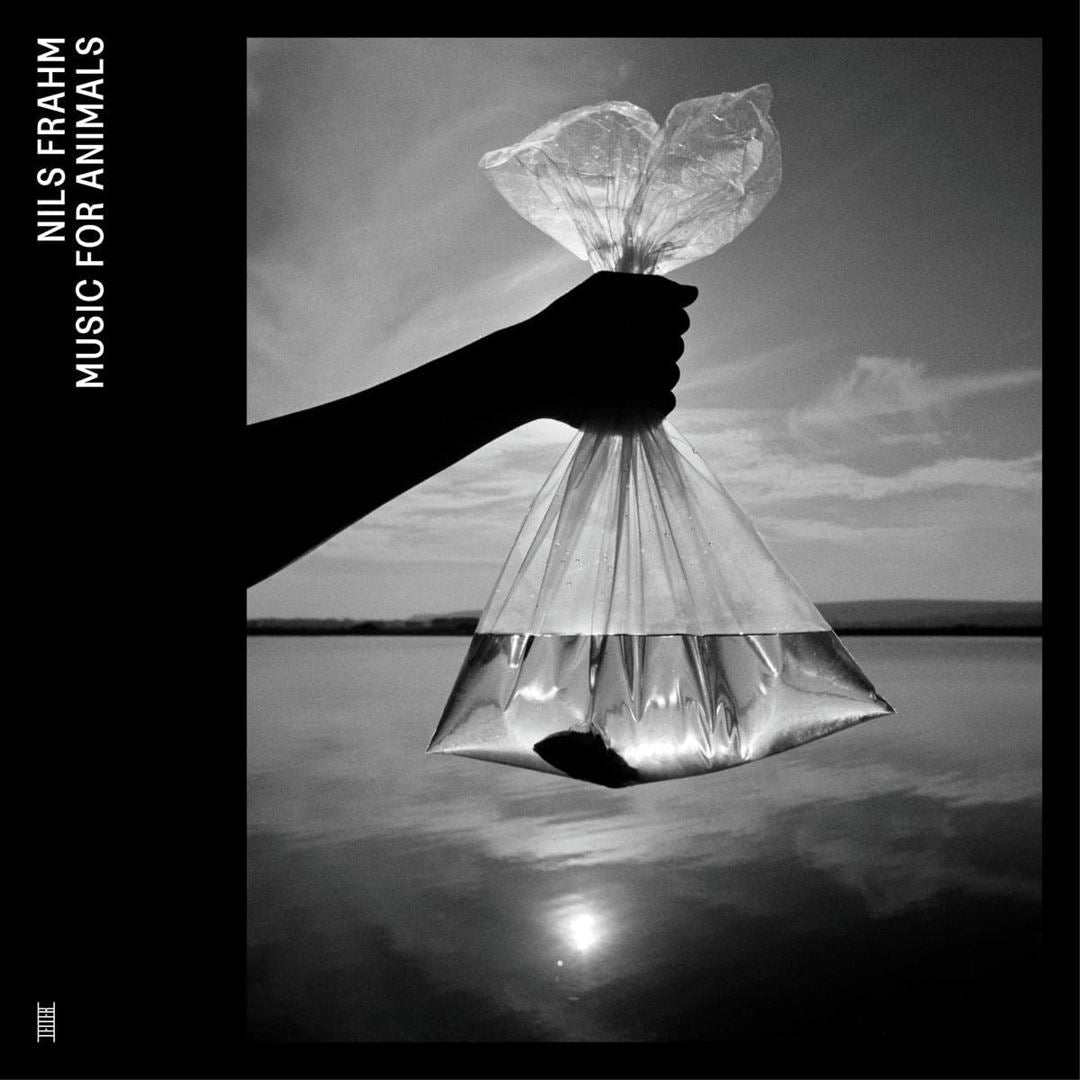 Music for Animals cover art