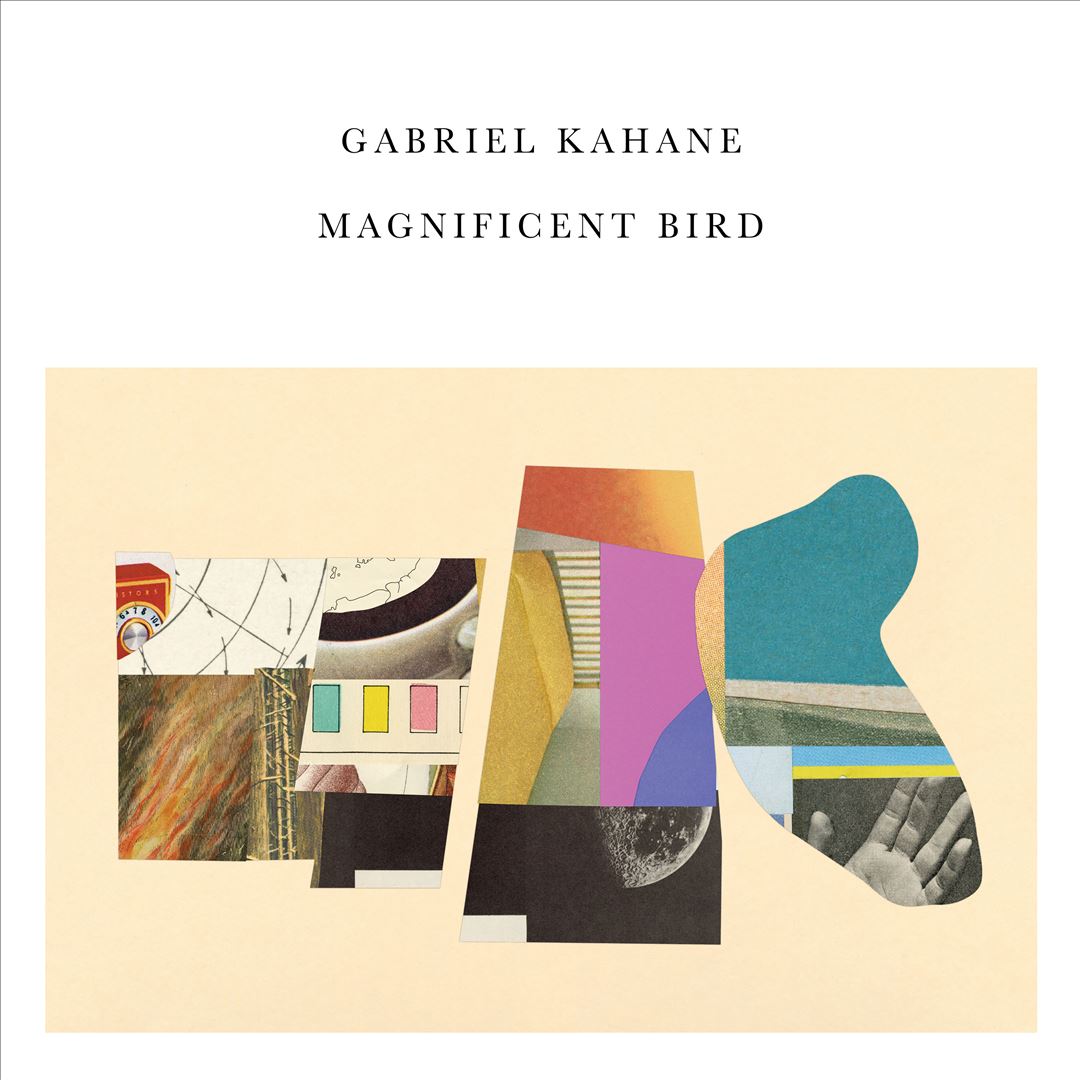Magnificent Bird cover art