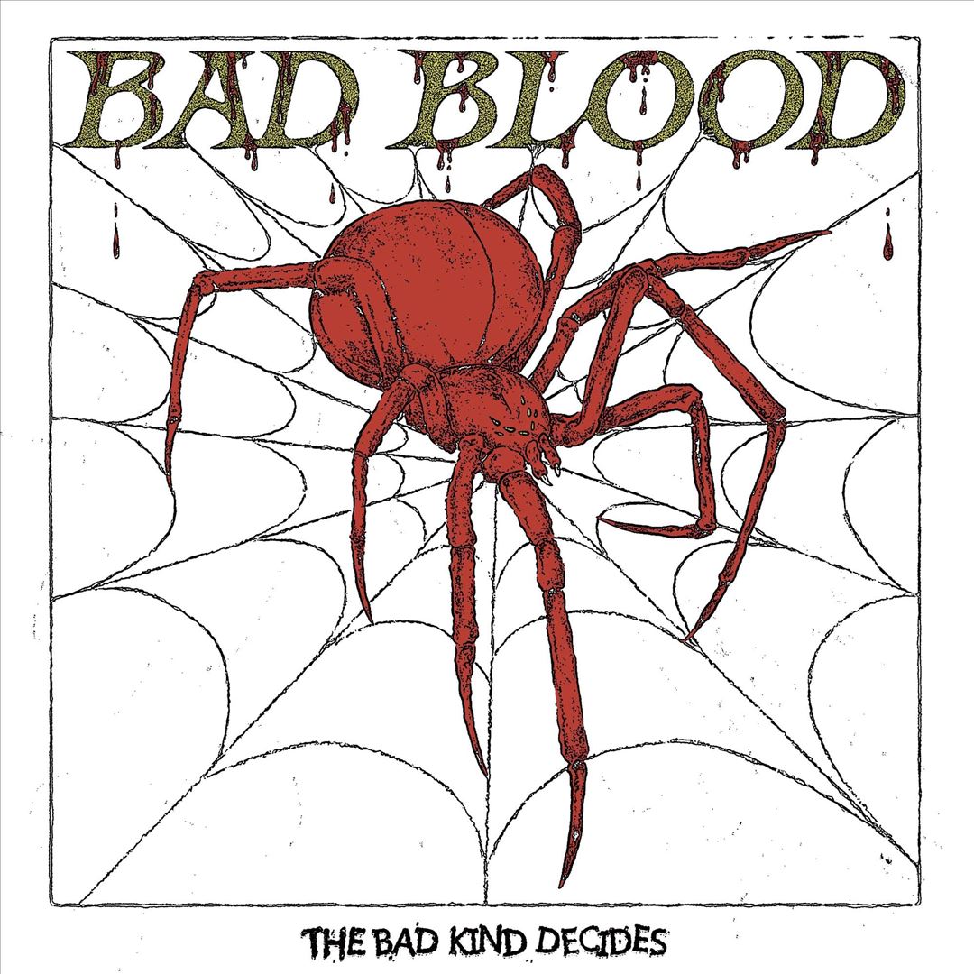 Bad Kind Decides cover art
