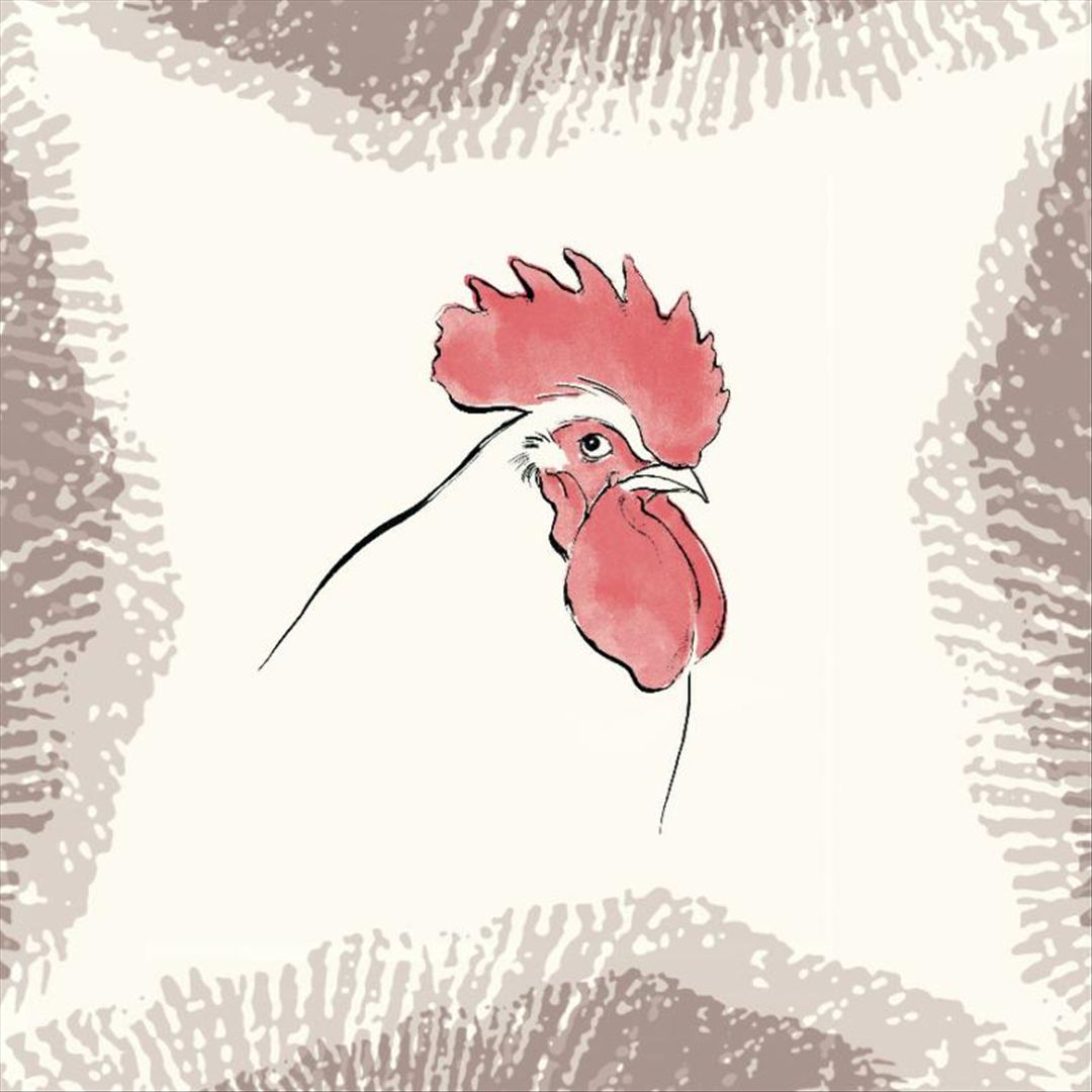 Rooster cover art