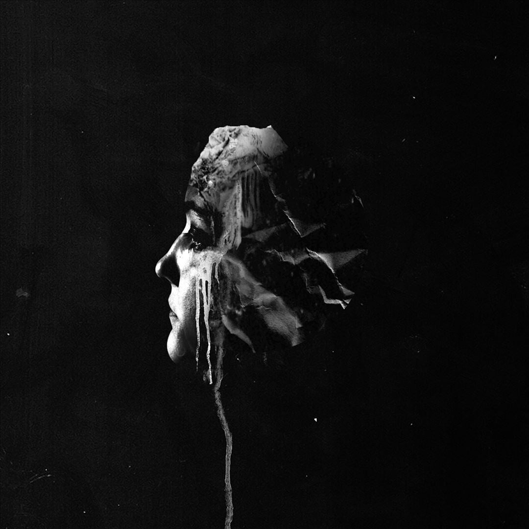Light cover art