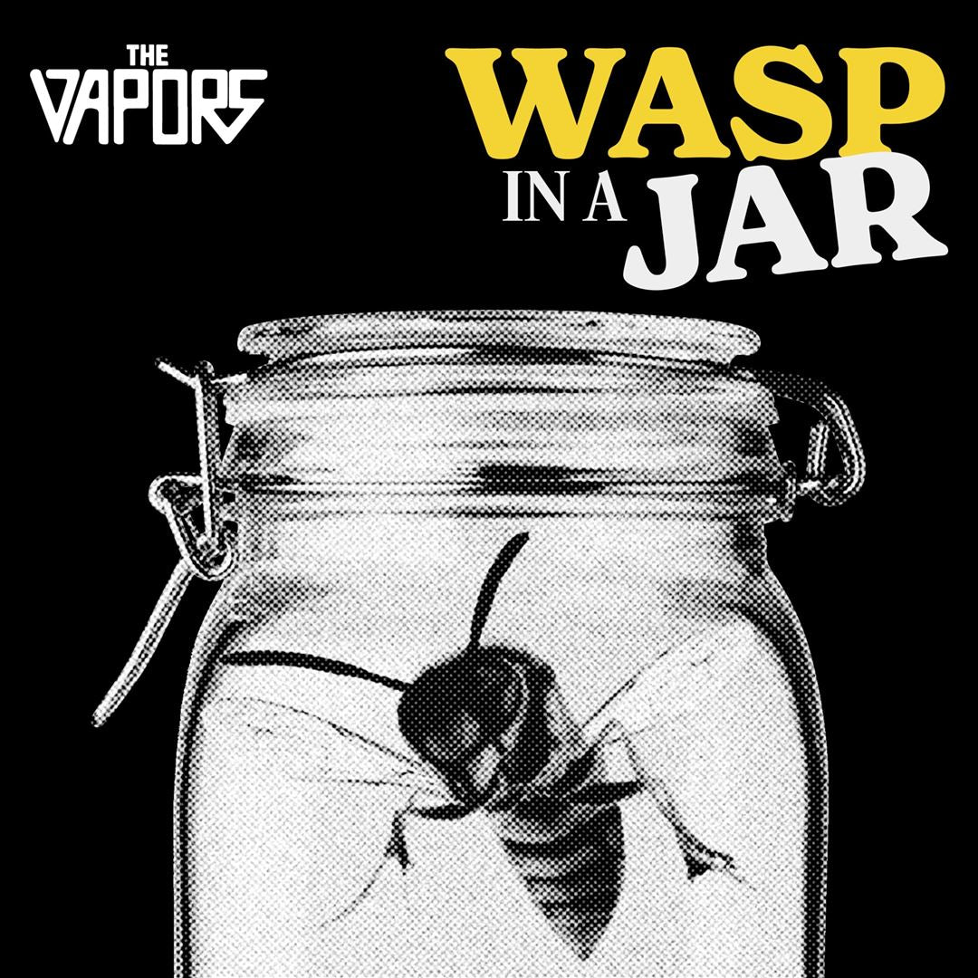 Wasp in a Jar cover art