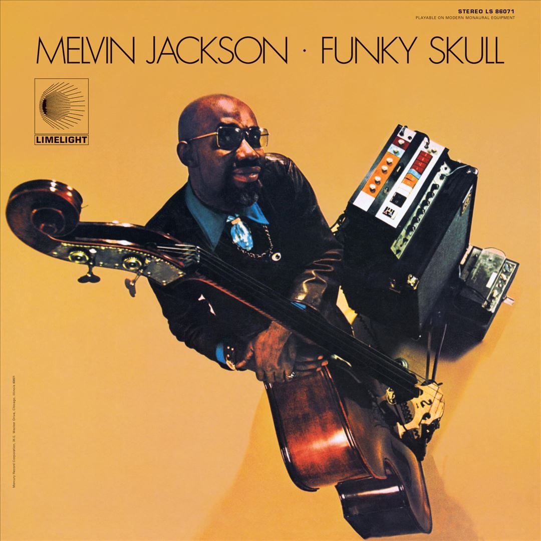 Funky Skull cover art