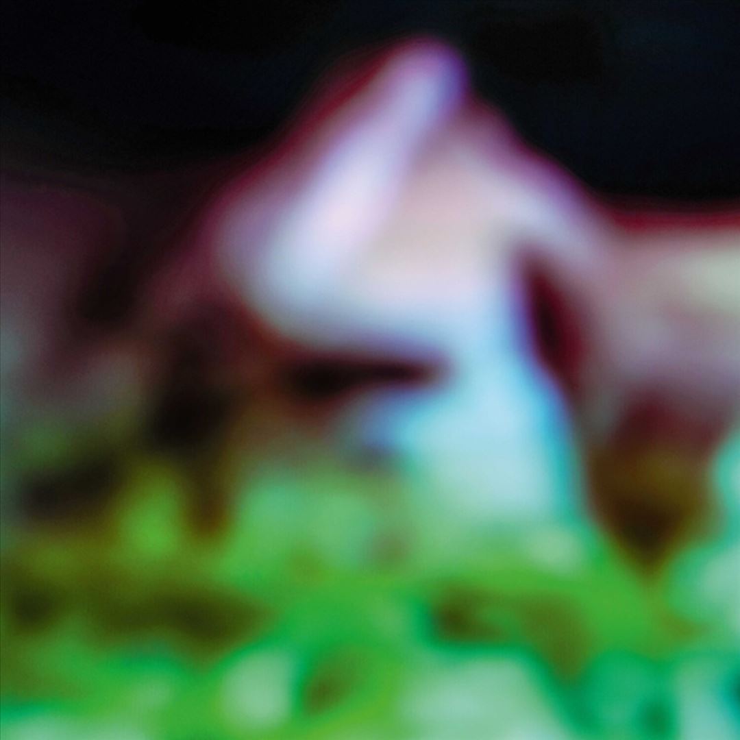 Disc Rot cover art