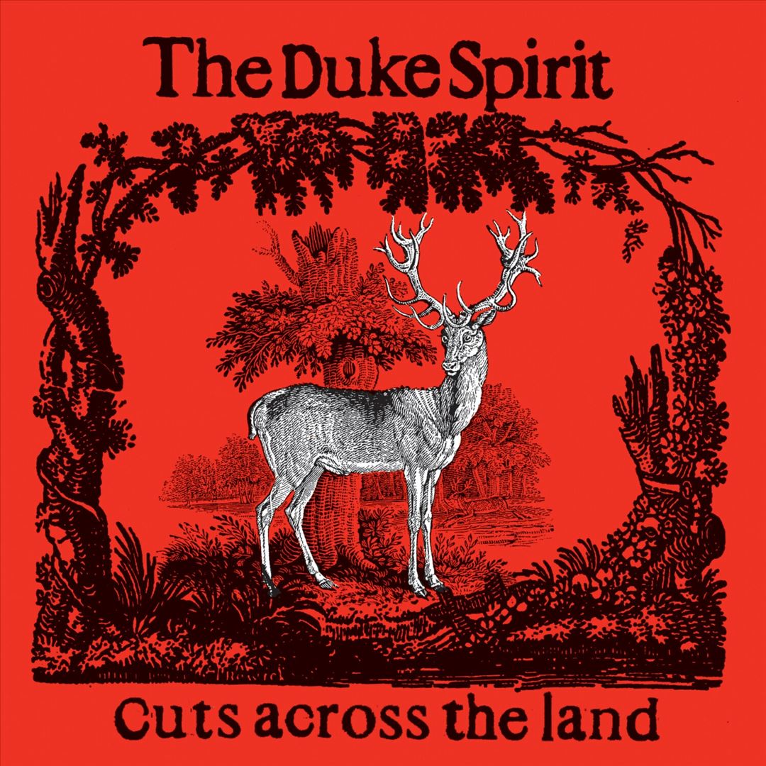 Cuts Across the Land cover art