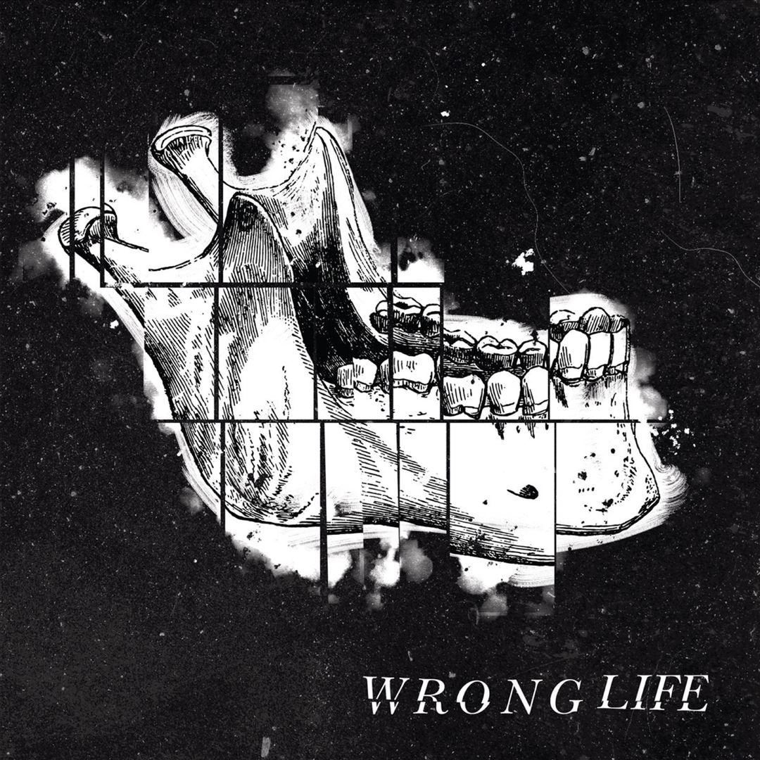 Wrong Life cover art