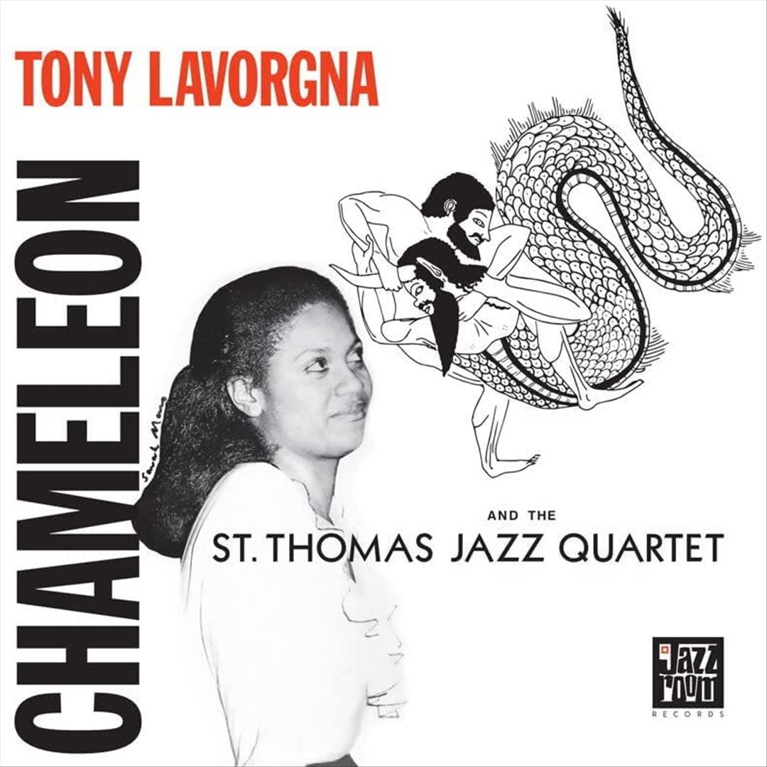 Chameleon cover art