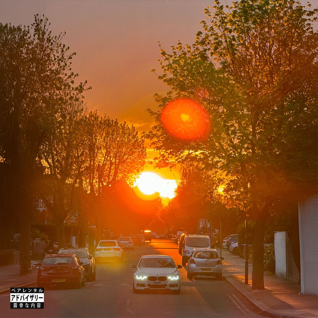 No Vi$ible Means of Income 3 cover art