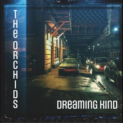 Dreaming Kind cover art