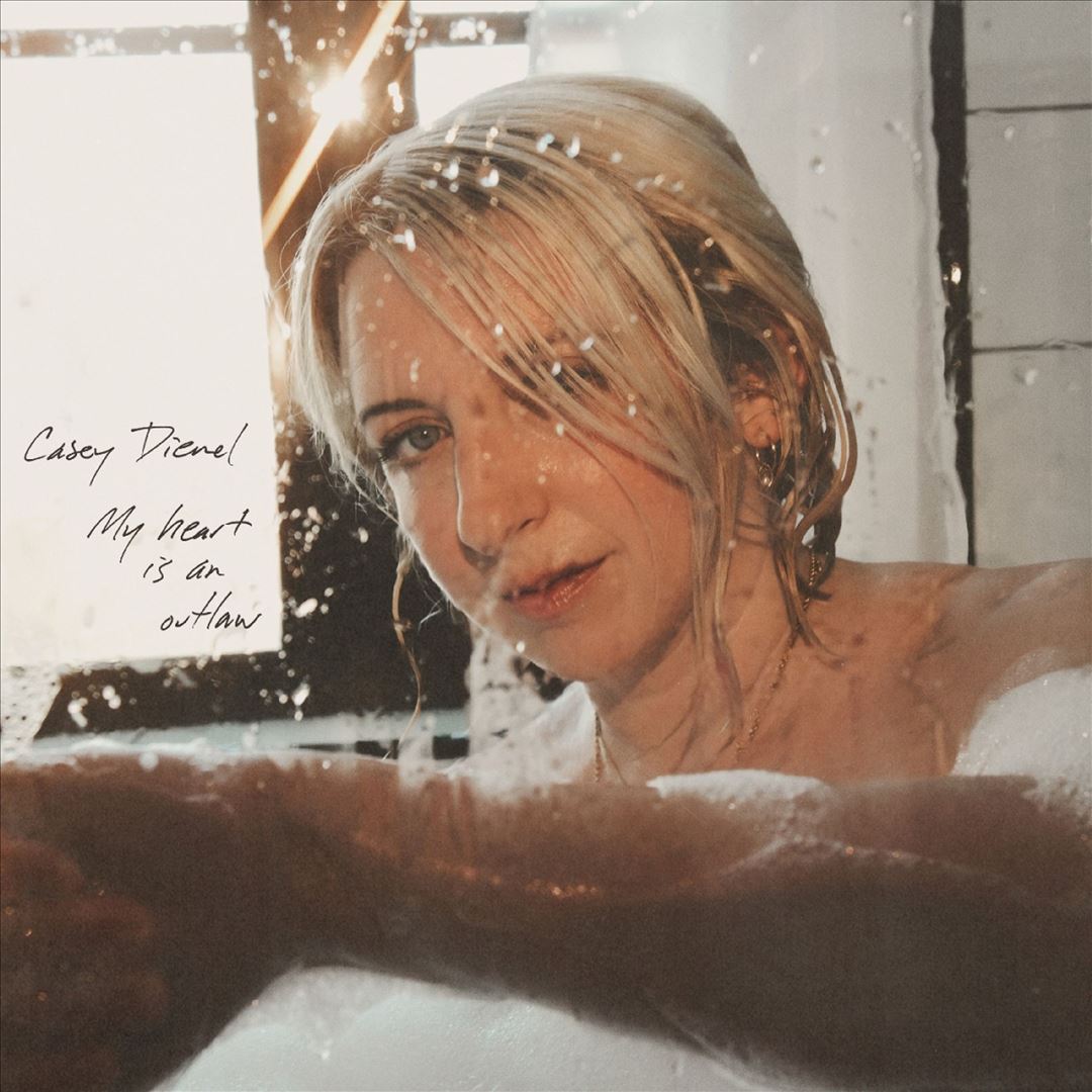 My Heart Is an Outlaw cover art