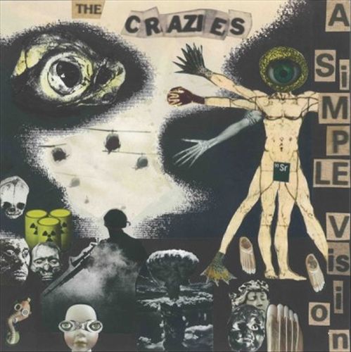 Simple Vision cover art