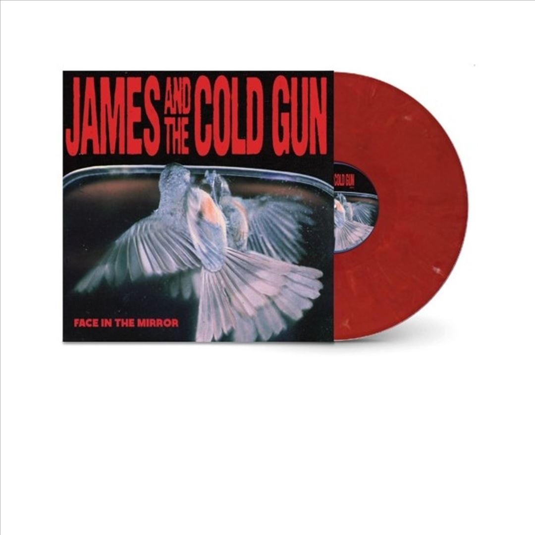 Face in the Mirror cover art