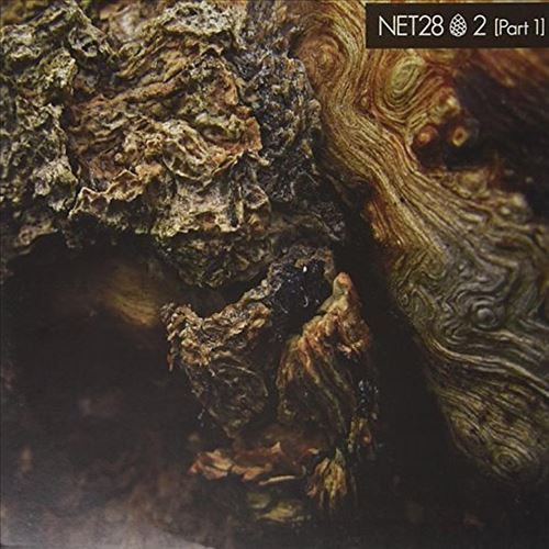 Net28 2, Pt. 1 cover art