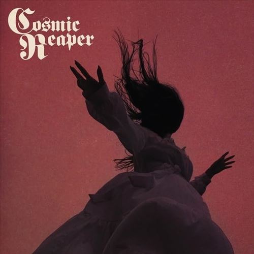 Bleed the Wicked, Drown the Damned cover art