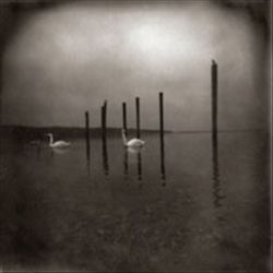 Conference of the Birds cover art