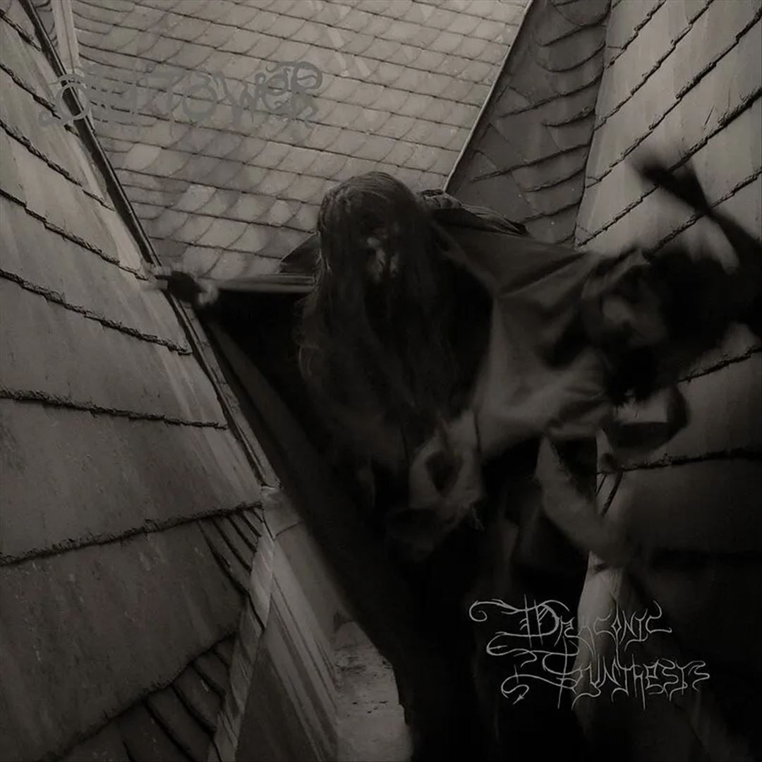 Draconic Synthesis cover art