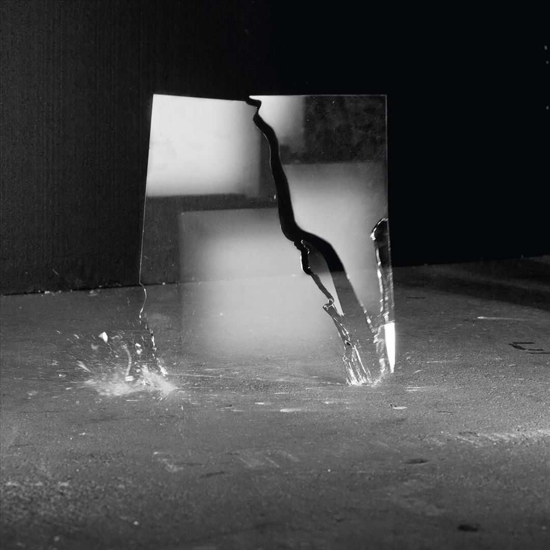 Beauty of Disaster cover art
