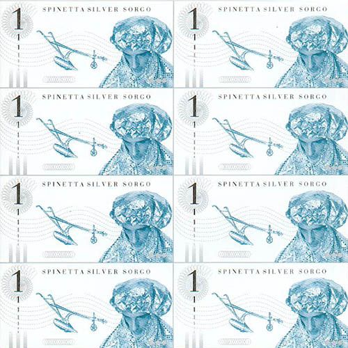 Silver Sorgo cover art