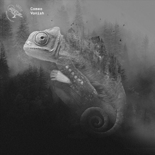 Vanish cover art