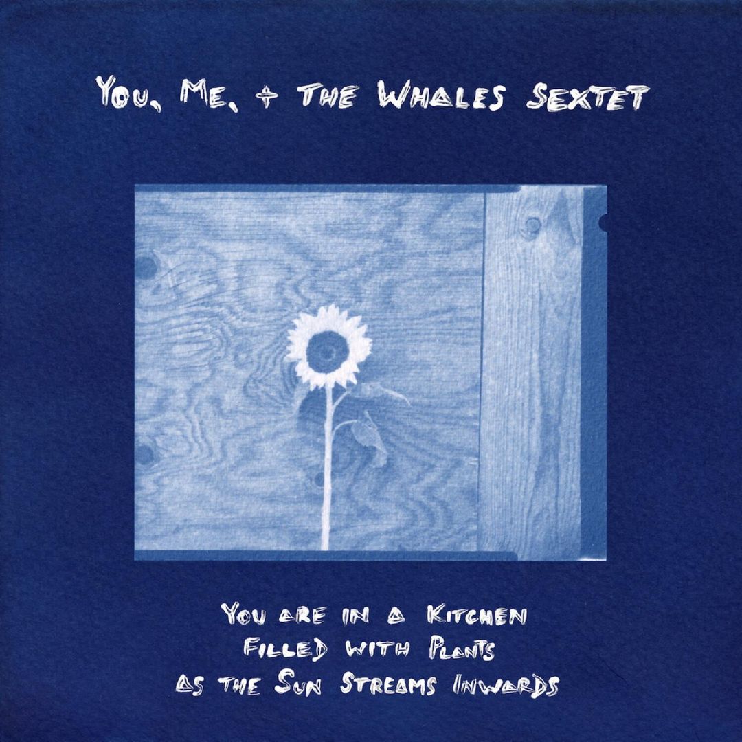 You Are in a Kitchen Filled with Plants as the Sun cover art